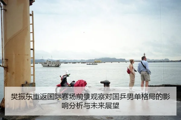 樊振东重返国际赛场前景观察对国乒男单格局的影响分析与未来展望