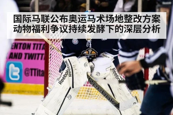 国际马联公布奥运马术场地整改方案 动物福利争议持续发酵下的深层分析