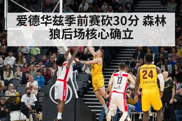 爱德华兹季前赛砍30分 森林狼后场核心确立