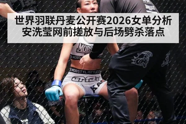 世界羽联丹麦公开赛2026女单分析 安洗莹网前搓放与后场劈杀落点
